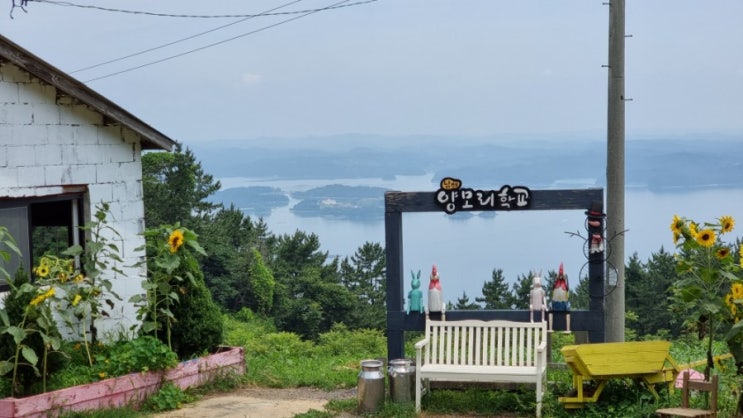  [아이와 갈만한 곳]남해양떼목장 양모리학교