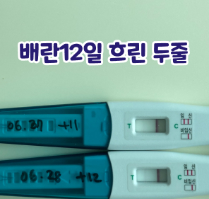  6월) 배란 12일 임테기 흐린 두줄 / 곰팡이균 질염 치료 시작 ..