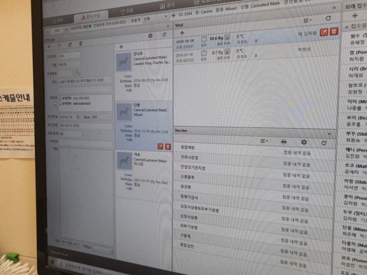  강아지 결장염 증상 구토 식욕 부진 잦은 설사