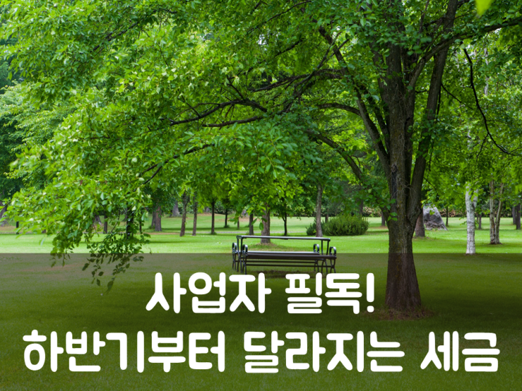  사업자 필독! 하반기부터 달라지는 세금