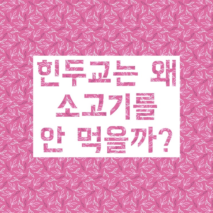 힌두교 소고기, 이슬람교 돼지고기 왜 안 먹는 걸까?