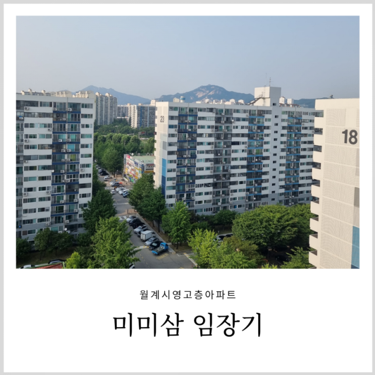 [스터디과제] 미미삼(미륭,미성,삼호 아파트)과  광운대역세권개발 임장기