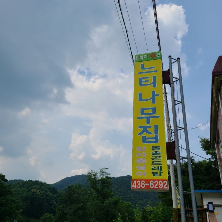  ʚ맛집ɞ 홍천 곤드레밥 맛집 "느티나무집'