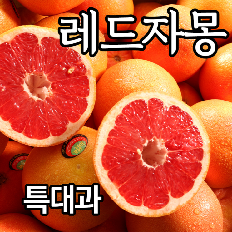 가성비갑 푸릇푸릇 미국 플로리다 자몽 레드자몽 20과 40과 특대과, 레드자몽 특대과 10개 추천합니다 가성비갑 푸릇푸릇 미국 플로리다 자몽 레드자몽 20과 40과 특대과, 레드자몽 특대과 10개 추천합니다
