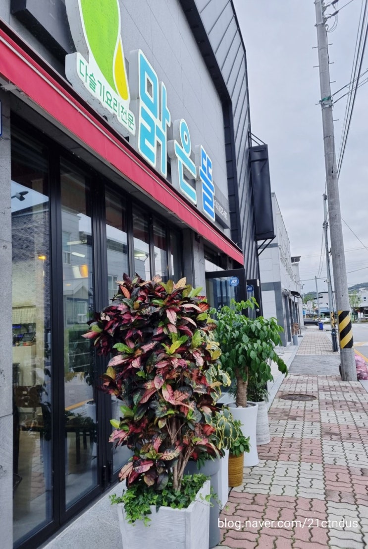  전라북도 남원 맛집 : 다슬기 요리전문 맑은뜰 에서 다슬기 맑은탕 맛보기 -