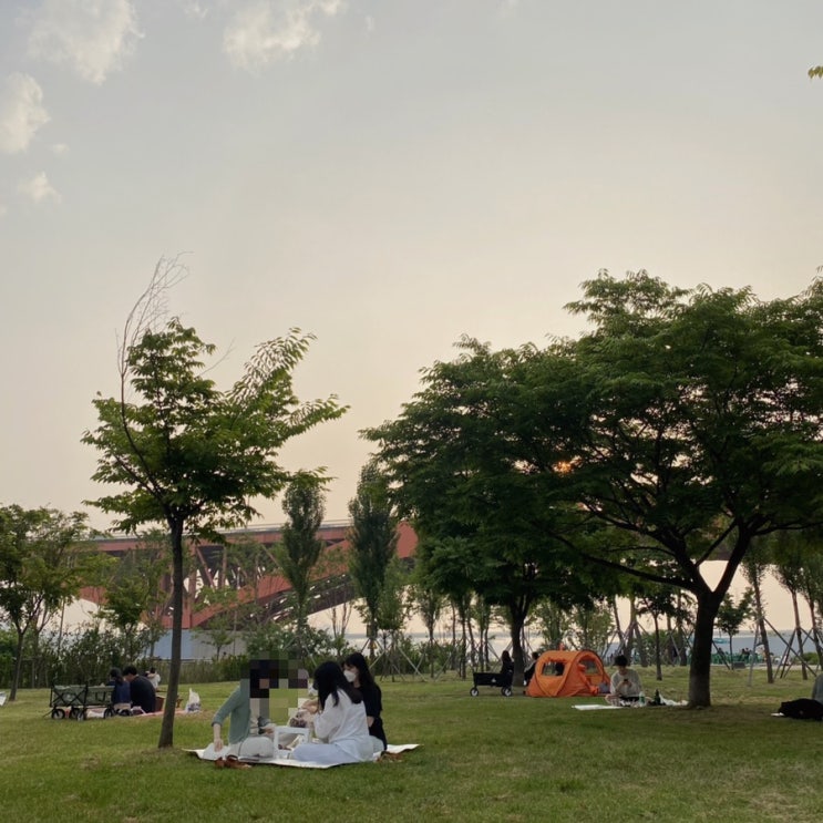  [망원한강공원] 6월 저녁 피크닉하기 좋은 날씨 망원 데이트