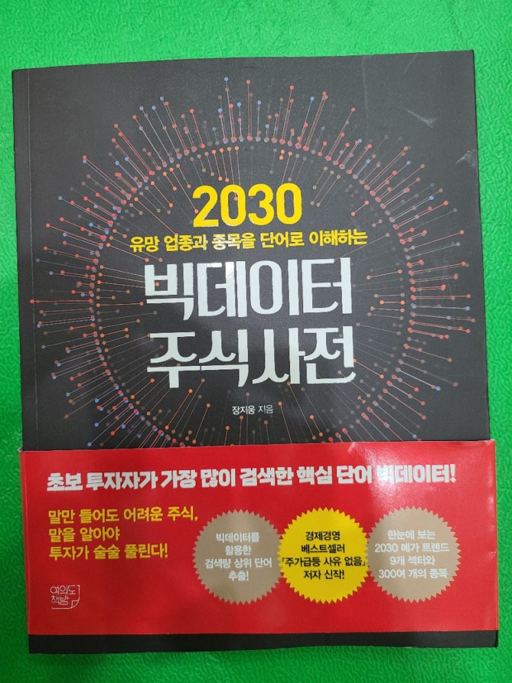  서평 2030 유망종목과 종목을 단어로 이해하는 빅데이터 주식사전 장지웅저자