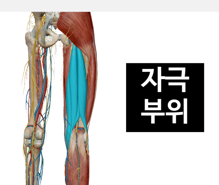 어깨, 허리 통증에 좋은 스트레칭입니다[영통 새움한의원]