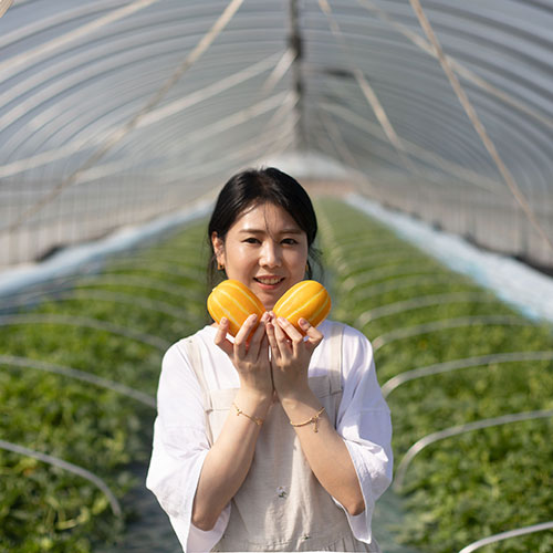 잘팔리는 성주참외 산지직송 특품 가정용 못난이 고당도 꼬마 달달 선물용 실속 명품 아삭한 로얄과 대과 소과 꿀참외 3kg 5kg, 정품 3kg소과 16-20과 ···