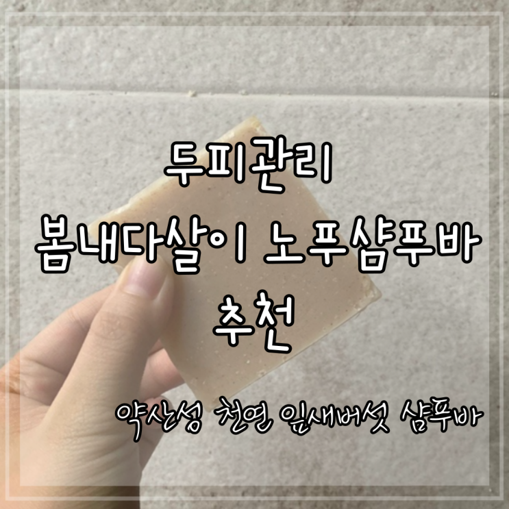 두피관리 비누로 머리감기 봄내다살이 약산성 노푸샴푸바 추천 천연 잎새버섯비누 100% 삼베 비누망 두피관리 비누로 머리감기 봄내다살이 약산성 노푸샴푸바 추천 천연 잎새버섯비누 100% 삼베 비누망