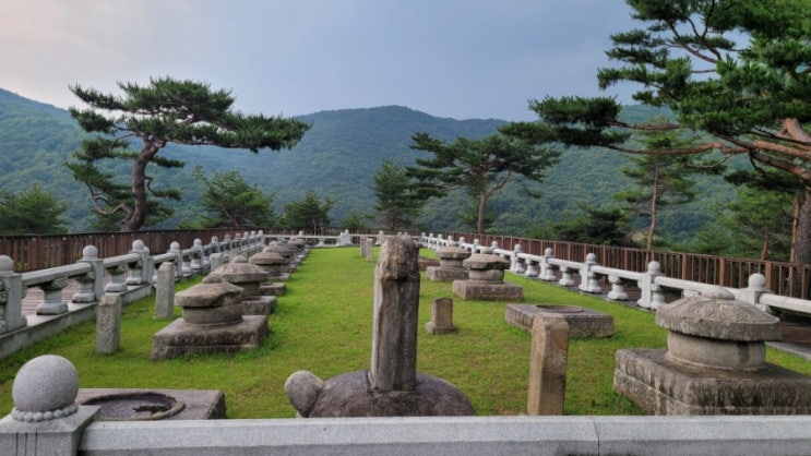  성주 세종대왕자태실 여행