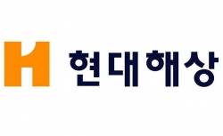 금감원, 현대해상 자회사 통해 "고객 보험금 지급 삭감 유도" 금감원, 현대해상 자회사 통해 "고객 보험금 지급 삭감 유도"