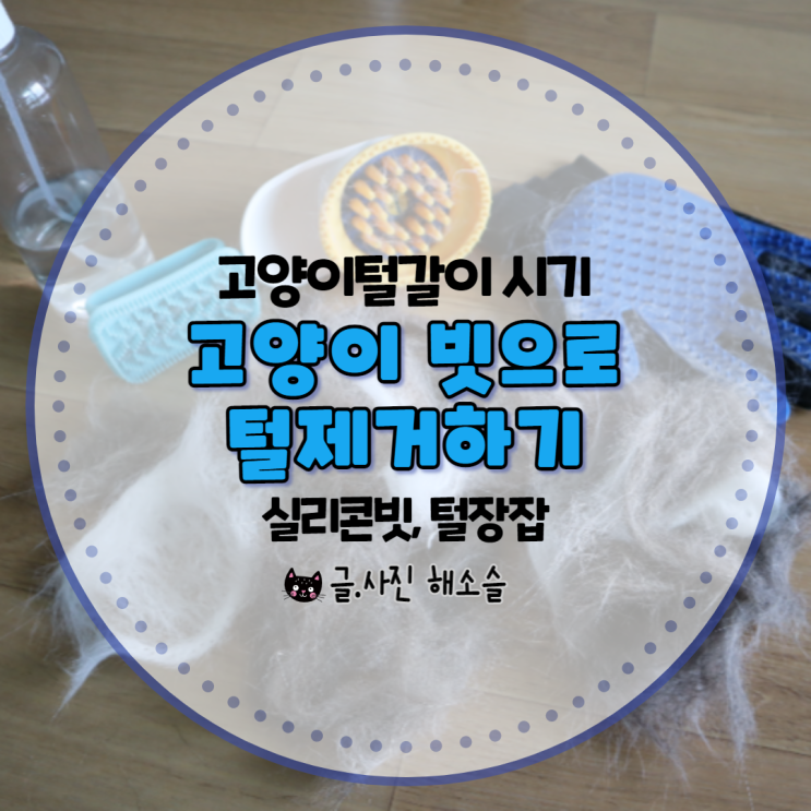  고양이 빗으로 털 제거하기 with 실리콘 빗, 털장갑
