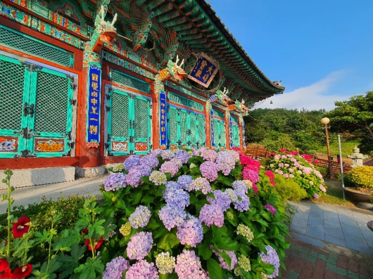  진도 약사사 템플스테이(남도여행2일차)
