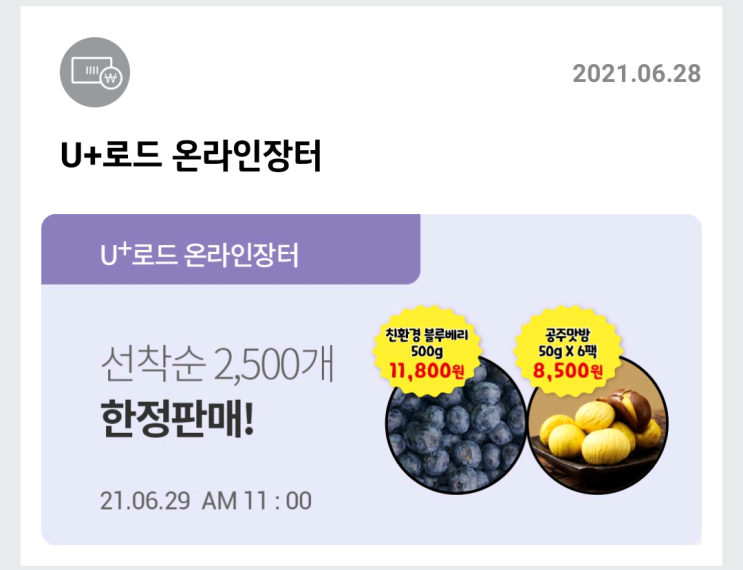  (오늘만 선착순)농가돕기 블루베리 500g 11,800원 무료배송