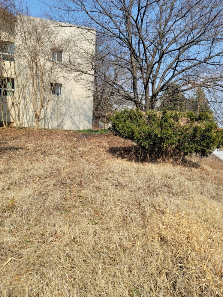  대구누수 하수구뚫음 경산시 진량읍 진량공단내 종업원300명 자동차부품공장 오수및 하수구막힘 오케이설비가 배관공사 했네요