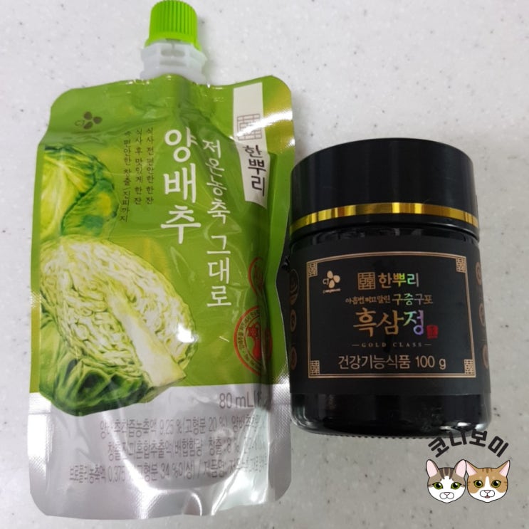 내돈내산 알러지 극복기! 한뿌리 흑삼정 내돈내산 알러지 극복기! 한뿌리 흑삼정