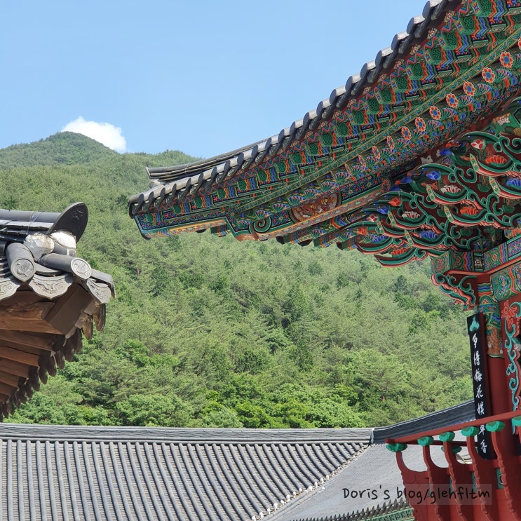  [전남/구례] 전남여행 중 화엄사 방문하기