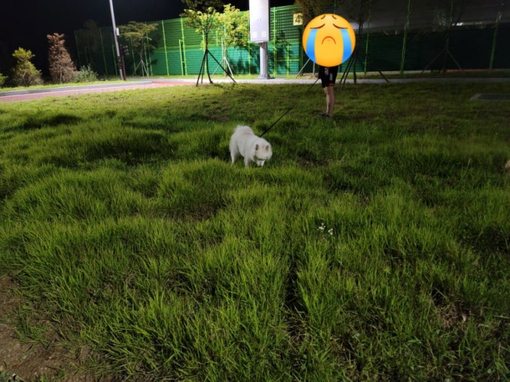  #일상기록 : 21.06.29 화