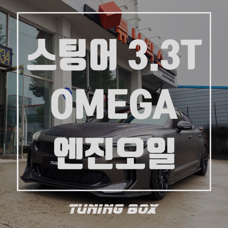  스팅어 3.3T 오메가G1 5W40 합성엔진오일/오메가 엔진오일 첨가제[광주 튜닝박스]