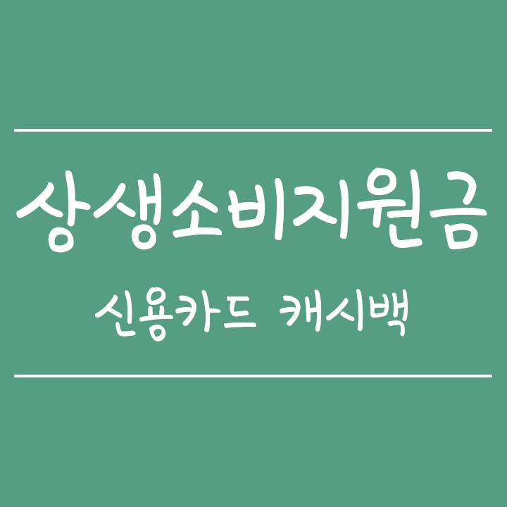 신용카드 캐시백 상생소비지원금 8월부터 시행됩니다 신용카드 캐시백 상생소비지원금 8월부터 시행됩니다