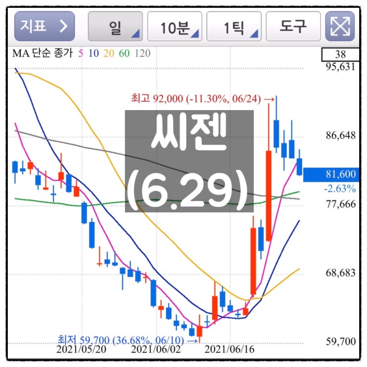  [미자의 주식일기] 씨젠(6.29)