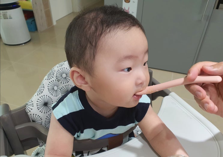  초기이유식은 둘째도 베베쿡, 초기 2단계 내돈내산 리얼 후기
