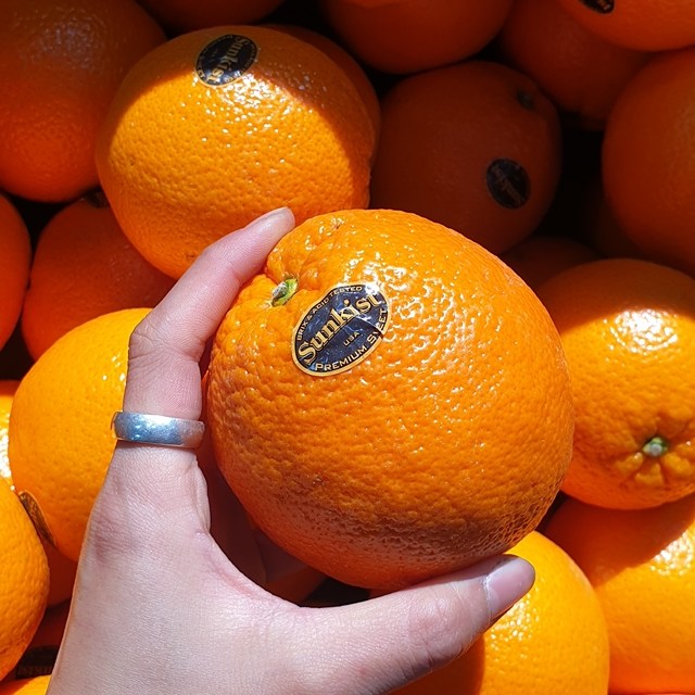 요즘 인기있는 블랙라벨 고당도 미국산 오렌지 한박스 18KG (썬키스트/퓨어스펙), 72과(대과) 좋아요 요즘 인기있는 블랙라벨 고당도 미국산 오렌지 한박스 18KG (썬키스트/퓨어스펙), 72과(대과) 좋아요