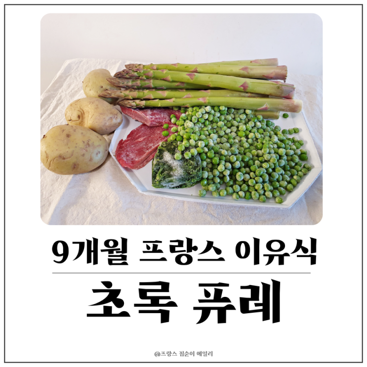  [9개월 아기 프랑스 이유식] 시금치, 완두콩, 아스파라거스, 감자, 소고기로 초록 야채 퓨레 만들기