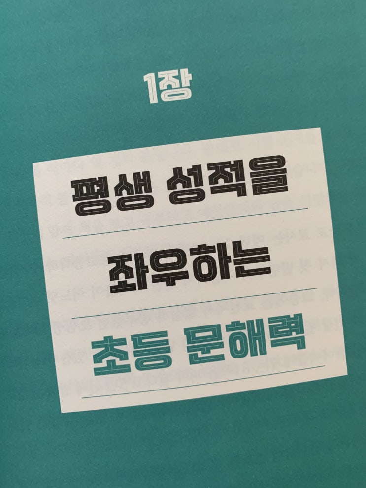  초등 문해력 키우기 - <초등공부는 문해력이 전부다>