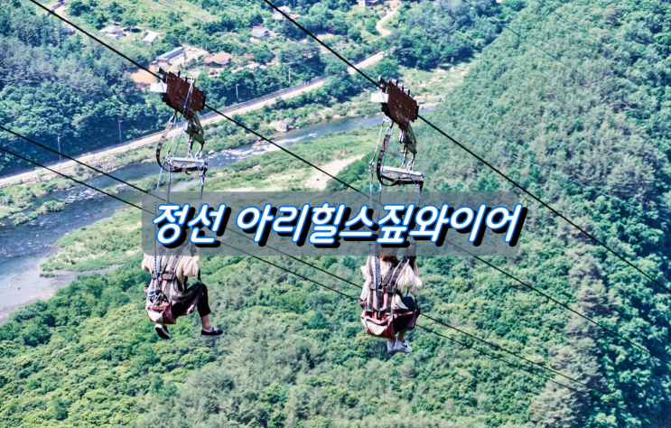 정선에서 즐기는 짜릿한 스릴, 아리힐스 짚와이어 정선에서 즐기는 짜릿한 스릴, 아리힐스 짚와이어