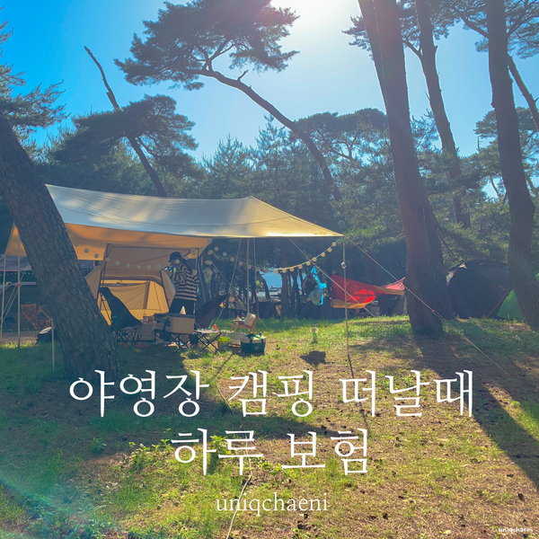  토글 하루보험 여름철 안전한 캠핑 야영장 즐겨요