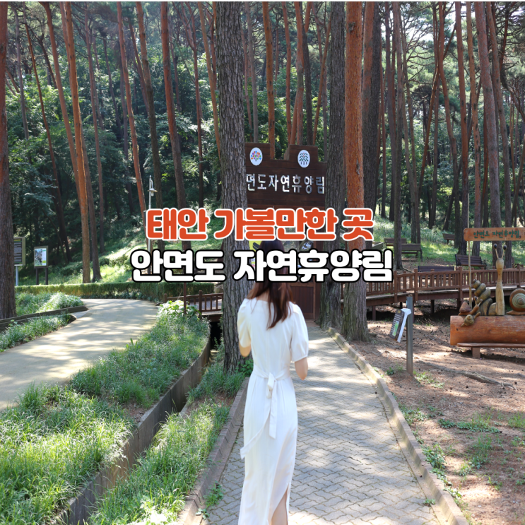  태안 가볼만한곳 안면도자연휴양림 숲속의 집 예약