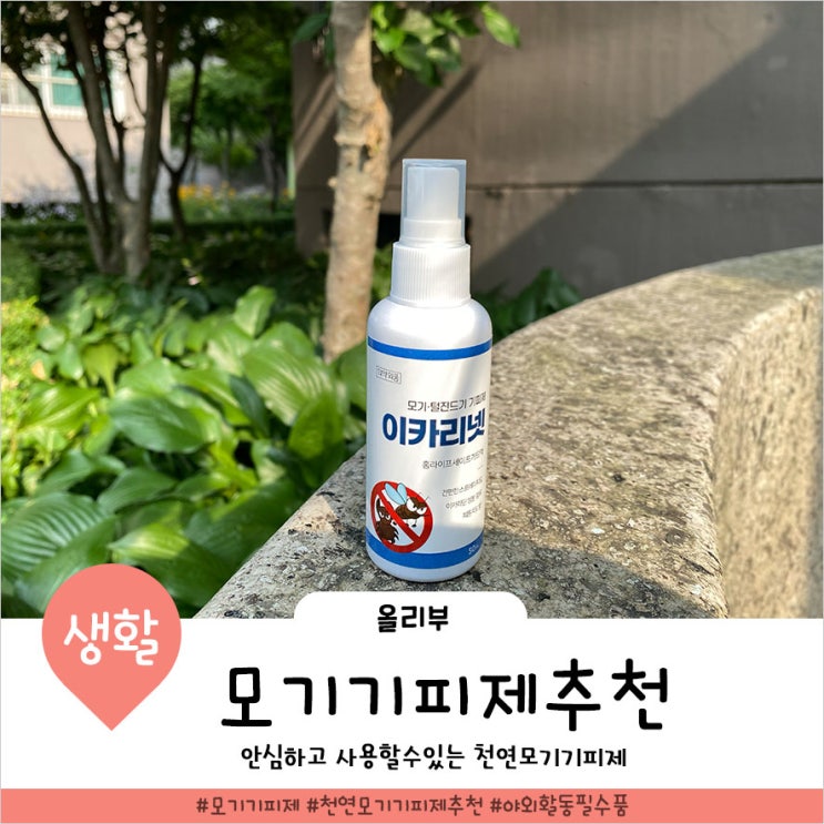  계피향이 은은한 천연 모기퇴치제 추천