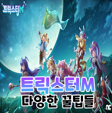 트릭스터M 다양한 꿀팁,캐릭터스텟 트릭스터M 다양한 꿀팁,캐릭터스텟