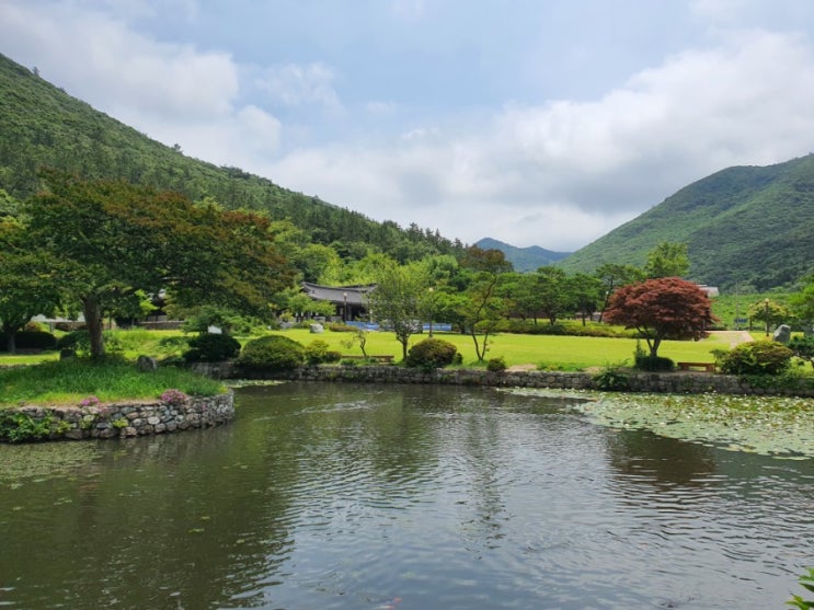  남해 진도 여행코스 2일차(진도신비의바닷길/운림산방/세방낙조)