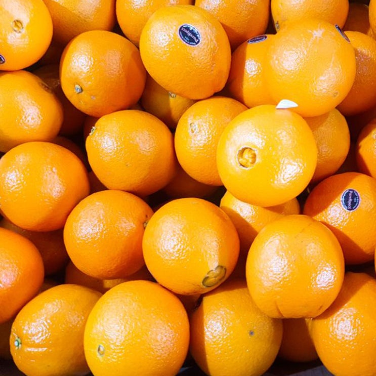 최근 많이 팔린 퓨어스펙 고당도 오렌지 특품, 88개, 18kg 추천합니다