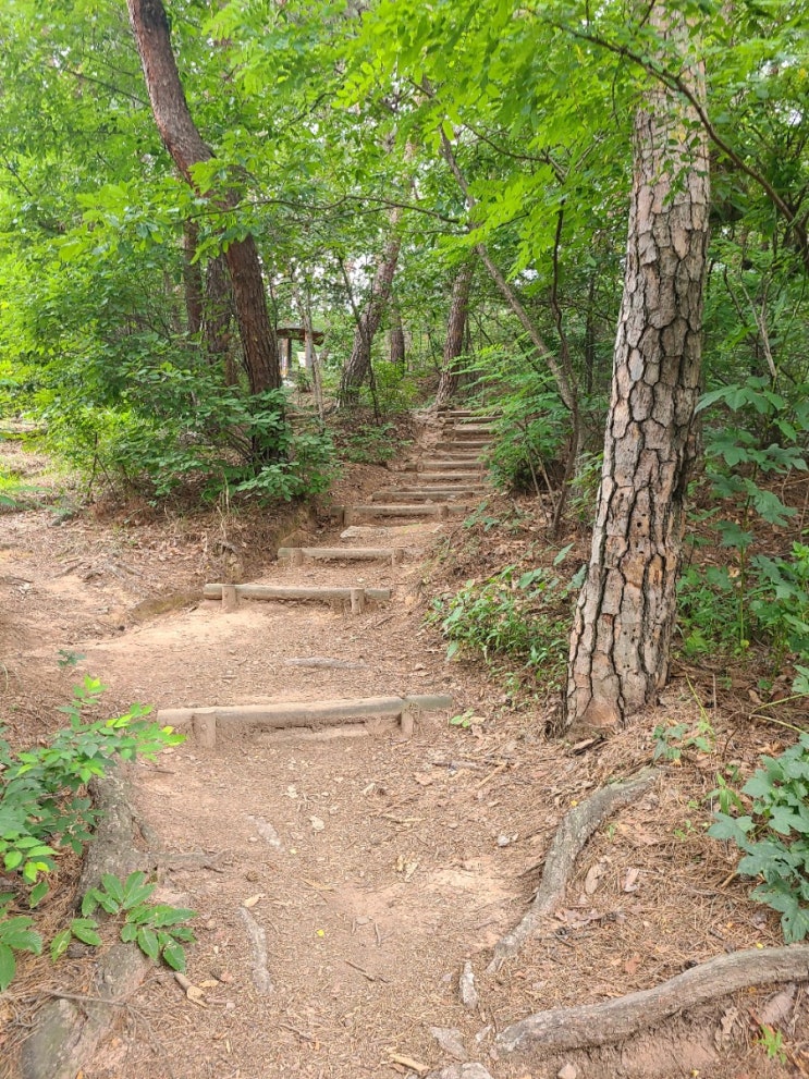  등산다이어트 우리동네 뒷산 망일봉등산하자!