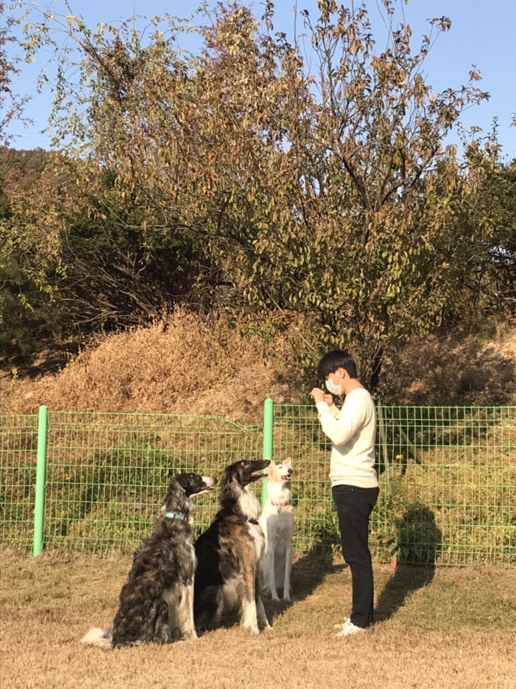 이준혁 트레이너님을 소개합니다! @반려견선생님