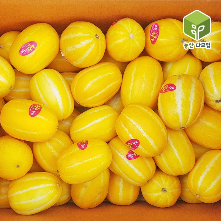요즘 인기있는 성주 꼬마참외 5kg 10kg 가정용 꿀참외 51-59과, 성주 꼬마참외 5kg(25-30과내외) 추천합니다 요즘 인기있는 성주 꼬마참외 5kg 10kg 가정용 꿀참외 51-59과, 성주 꼬마참외 5kg(25-30과내외) 추천합니다