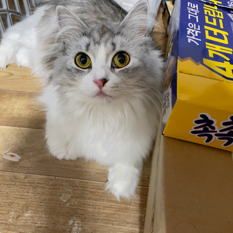  실컷 놀다가 쉬는 타임