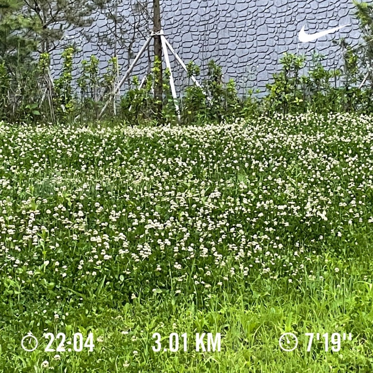  #35. 운동 일기 - 210629 러닝, 3km 달리기. 힘들어요.. 힘들어..