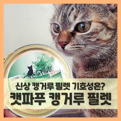 고양이 습식캔 캣츠파인푸드 캥거루 필렛, 신상 사료 잘 먹네!
