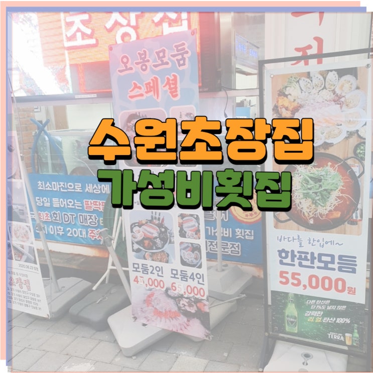  수원초장집 가성비 맛집