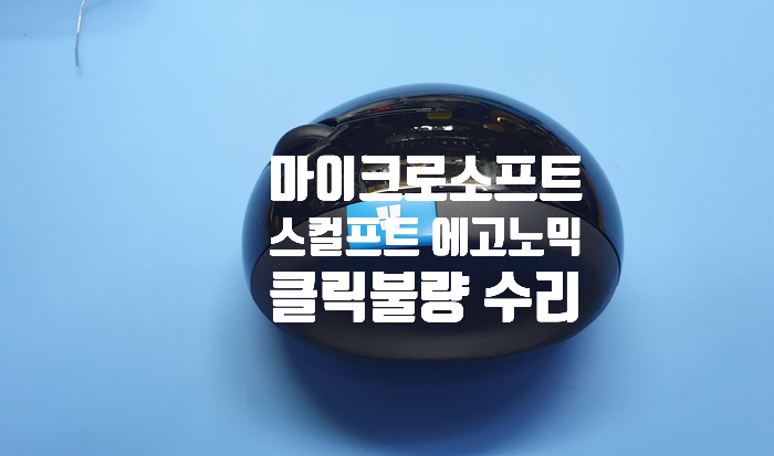  스컬프트 에고노믹 마이크로소프트 마우스가 클릭 불량으로 전남 목포에서 보내셨습니다.