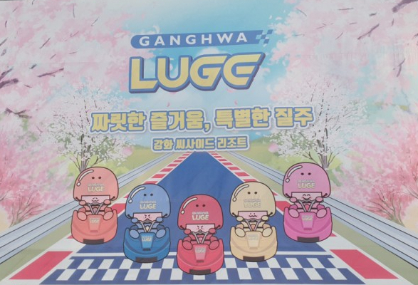  강화도루지 꿀잼 강화씨사이드리조트 루지 짜릿한 액티비티 당일치기여행