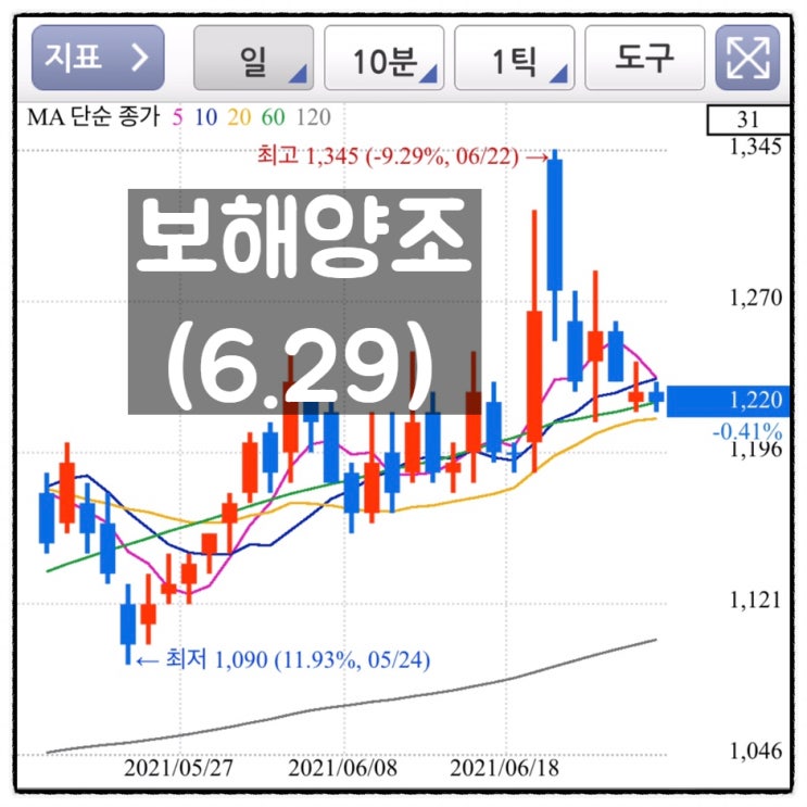  [미자의 주식일기] 보해양조(6.29)