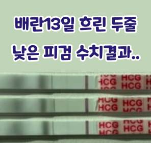  6월) 배란13일 / 너무 낮게 나온 피검 수치 결과와 흐린 두줄