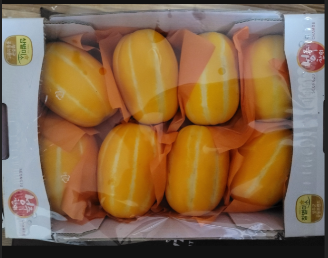  성주참외 달고 맛있는 못난이 참외 효능 궁금하시죠?