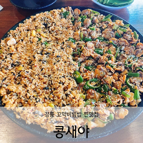  [강원도/강릉] 강릉맛집 콩새야 꼬막비빔밥